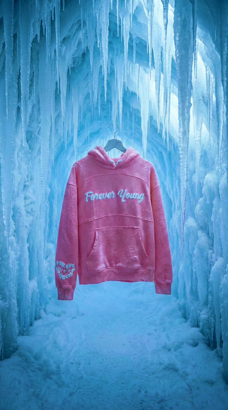 FINAL FORM HOODIE